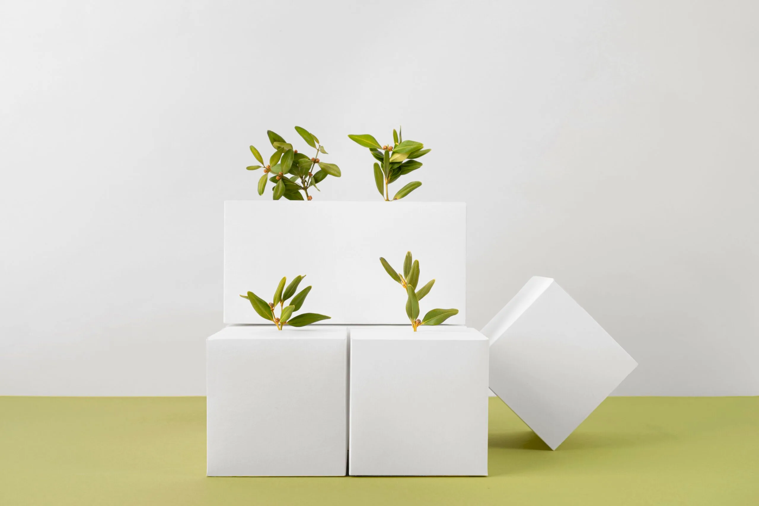 bioaqualife: Three white cubes with small green plants growing from holes are stacked against a light background. The setup creates a minimalist and modern aesthetic.