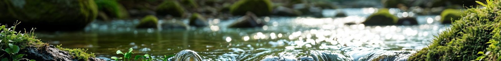 bioaqualife: A close-up view of a gently flowing stream surrounded by lush green moss and plants, with sunlight reflecting on the water&rsquo;s surface and blurred rocks in the background.