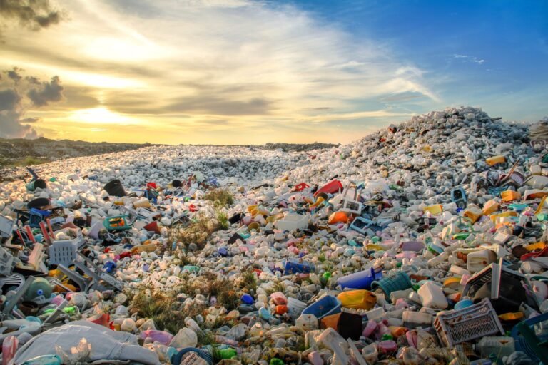 bioaqualife: A vast landfill overflowing with plastic waste and debris, covering the ground and forming large mounds under a partly cloudy sky at sunset. The scene highlights environmental pollution and waste accumulation.