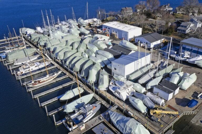 bioaqualife: A marina with numerous boats covered in protective tarps for storage, surrounded by docks and waterfront buildings; some boats are docked in the water and others are on land.
